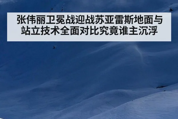 张伟丽卫冕战迎战苏亚雷斯地面与站立技术全面对比究竟谁主沉浮